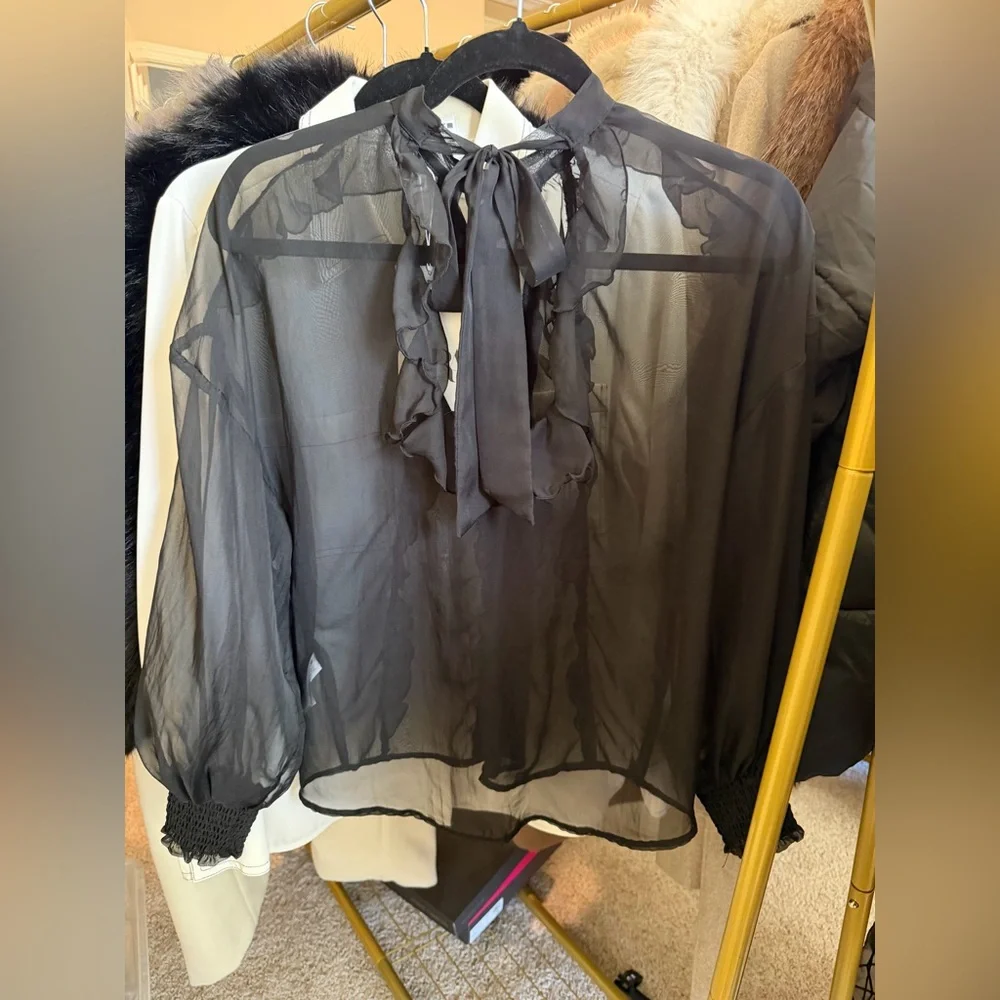Zara NWT black ruffle long sleeve sheer mesh blouse - Picture 6 of 10